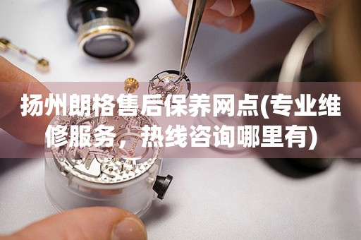 揚(yáng)州朗格售后保養(yǎng)網(wǎng)點(diǎn)(專業(yè)維修服務(wù)，熱線咨詢哪里有)