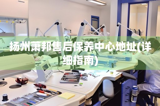揚(yáng)州蕭邦售后保養(yǎng)中心地址(詳細(xì)指南)