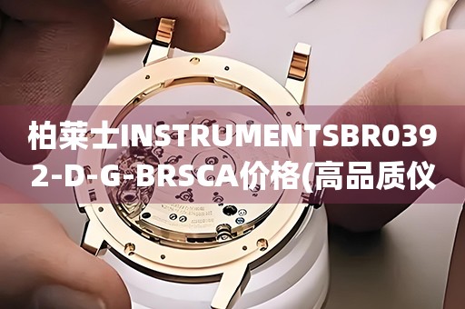 柏萊士INSTRUMENTSBR0392-D-G-BRSCA價(jià)格(高品質(zhì)儀器的價(jià)格及購買指南)