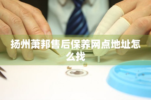 揚州蕭邦售后保養(yǎng)網(wǎng)點地址怎么找