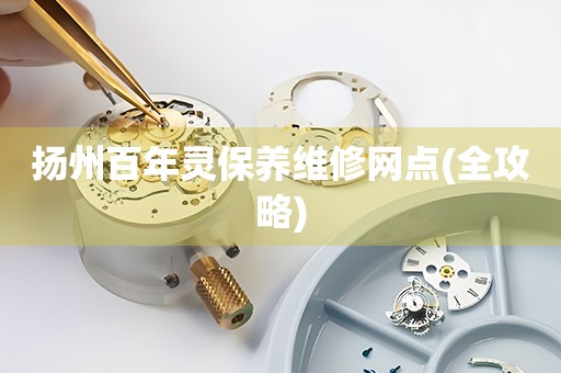 揚州百年靈保養(yǎng)維修網(wǎng)點(全攻略)