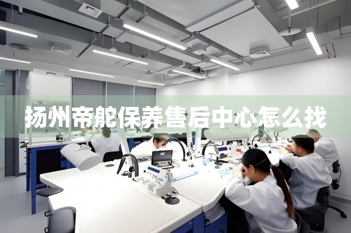 揚州帝舵保養(yǎng)售后中心怎么找