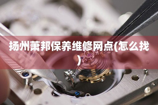 揚州蕭邦保養(yǎng)維修網(wǎng)點(怎么找)