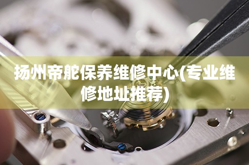 揚(yáng)州帝舵保養(yǎng)維修中心(專(zhuān)業(yè)維修地址推薦)