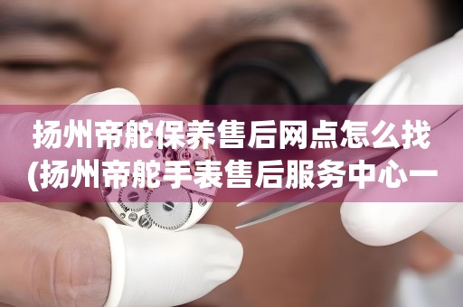 揚(yáng)州帝舵保養(yǎng)售后網(wǎng)點(diǎn)怎么找(揚(yáng)州帝舵手表售后服務(wù)中心一鍵查詢)