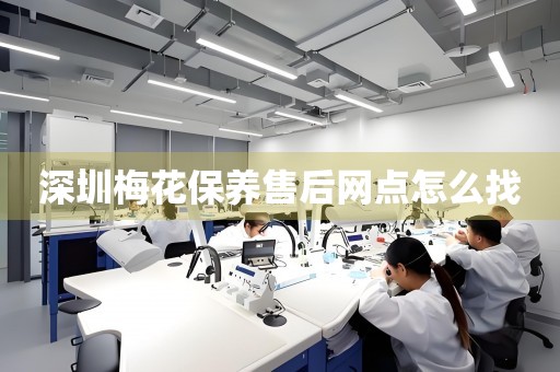 深圳梅花保養(yǎng)售后網(wǎng)點(diǎn)怎么找
