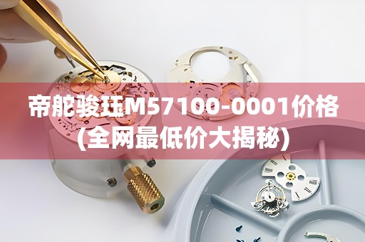帝舵駿玨M57100-0001價格(全網(wǎng)最低價大揭秘)