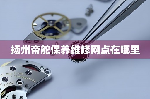 揚(yáng)州帝舵保養(yǎng)維修網(wǎng)點(diǎn)在哪里