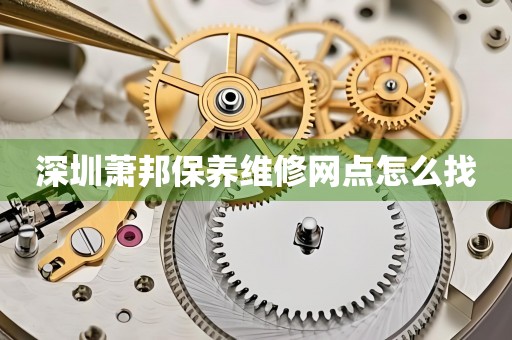 深圳蕭邦保養(yǎng)維修網(wǎng)點(diǎn)怎么找