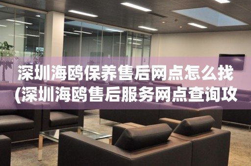 深圳海鷗保養(yǎng)售后網(wǎng)點(diǎn)怎么找(深圳海鷗售后服務(wù)網(wǎng)點(diǎn)查詢攻略)