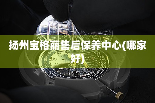 揚州寶格麗售后保養(yǎng)中心(哪家好)
