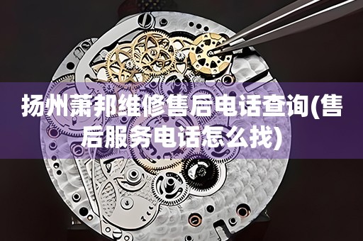 揚州蕭邦維修售后電話查詢(售后服務電話怎么找)