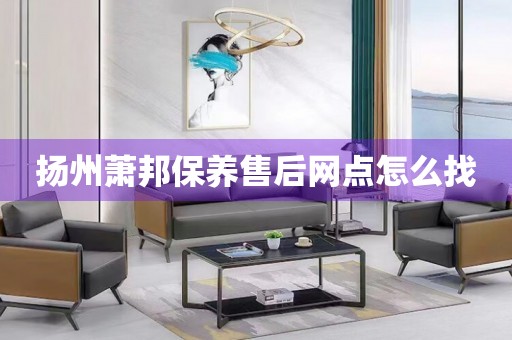 揚州蕭邦保養(yǎng)售后網(wǎng)點怎么找