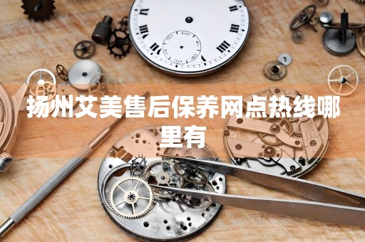 揚(yáng)州艾美售后保養(yǎng)網(wǎng)點(diǎn)熱線哪里有