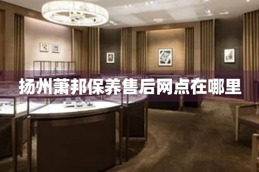 揚(yáng)州蕭邦保養(yǎng)售后網(wǎng)點(diǎn)在哪里