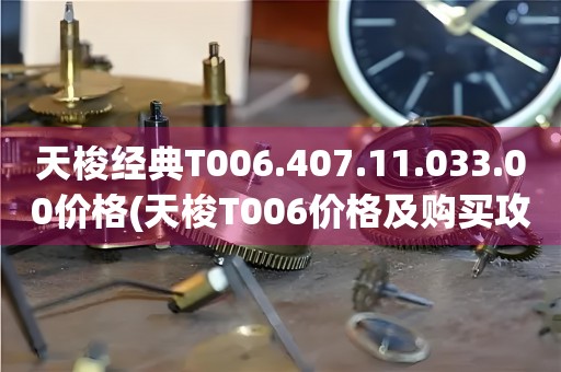 天梭經(jīng)典T006.407.11.033.00價格(天梭T006價格及購買攻略)