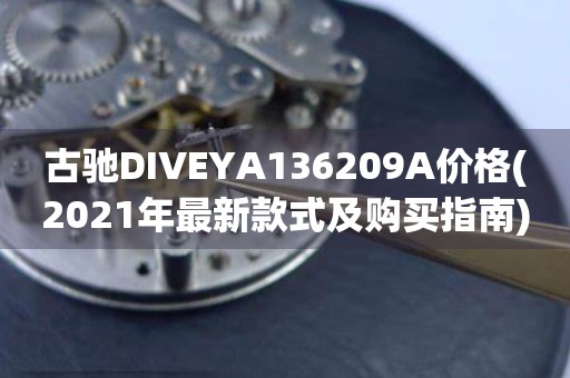 古馳DIVEYA136209A價格(2021年最新款式及購買指南)