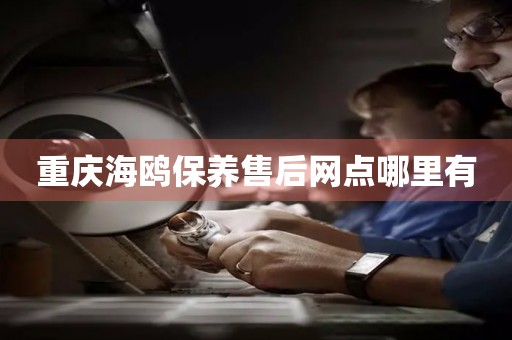 重慶海鷗保養(yǎng)售后網(wǎng)點(diǎn)哪里有