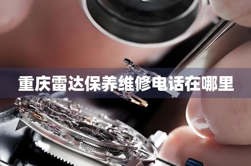 重慶雷達(dá)保養(yǎng)維修電話在哪里