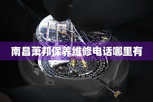 南昌蕭邦保養(yǎng)維修電話哪里有
