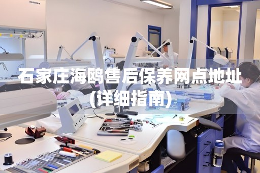 石家莊海鷗售后保養(yǎng)網(wǎng)點地址(詳細(xì)指南)