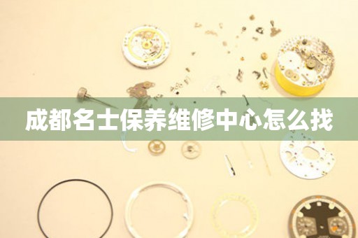 成都名士保養(yǎng)維修中心怎么找