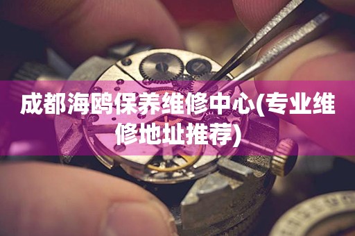成都海鷗保養(yǎng)維修中心(專業(yè)維修地址推薦)