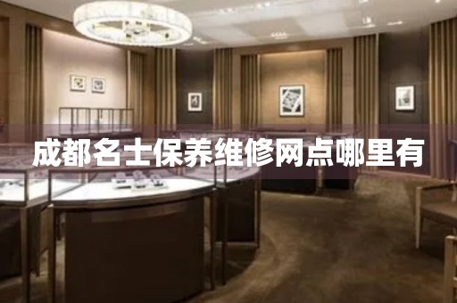 成都名士保養(yǎng)維修網(wǎng)點哪里有