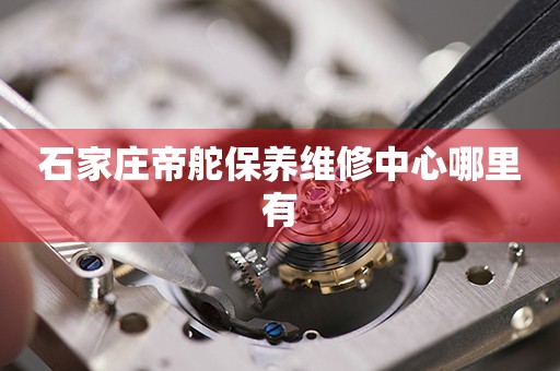 石家莊帝舵保養(yǎng)維修中心哪里有