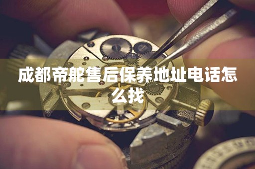 成都帝舵售后保養(yǎng)地址電話怎么找