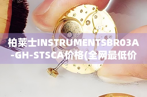 柏萊士INSTRUMENTSBR03A-GH-STSCA價格(全網(wǎng)最低價，限時特惠！)