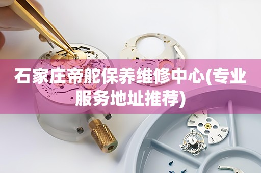 石家莊帝舵保養(yǎng)維修中心(專業(yè)服務(wù)地址推薦)