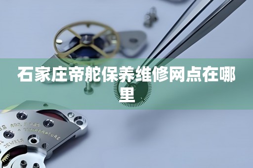 石家莊帝舵保養(yǎng)維修網點在哪里