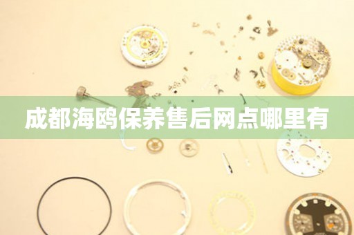 成都海鷗保養(yǎng)售后網(wǎng)點(diǎn)哪里有