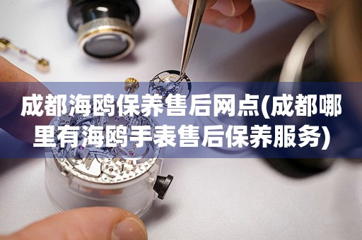 成都海鷗保養(yǎng)售后網(wǎng)點(diǎn)(成都哪里有海鷗手表售后保養(yǎng)服務(wù))