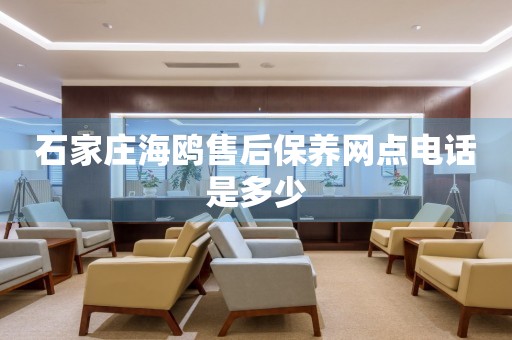 石家莊海鷗售后保養(yǎng)網(wǎng)點電話是多少