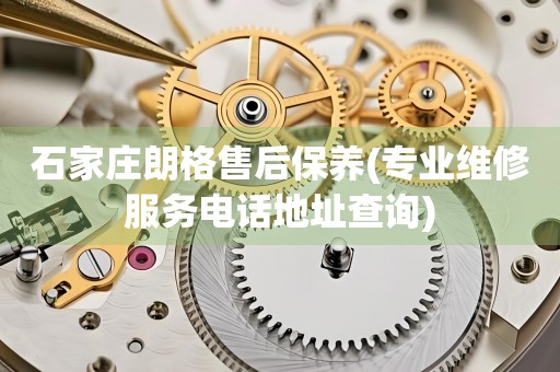 石家莊朗格售后保養(yǎng)(專業(yè)維修服務電話地址查詢)