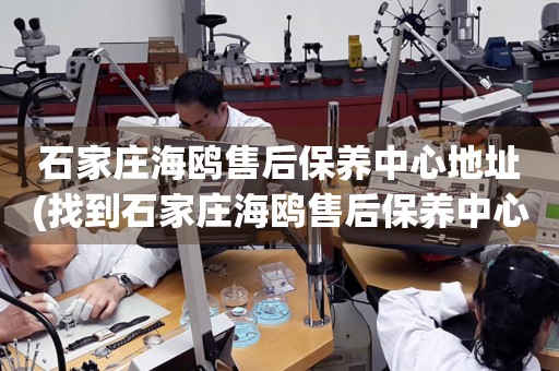 石家莊海鷗售后保養(yǎng)中心地址(找到石家莊海鷗售后保養(yǎng)中心地址的方法)