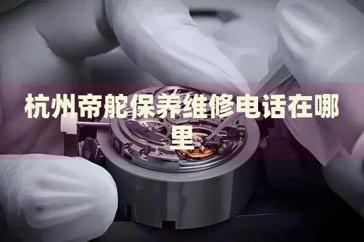 杭州帝舵保養(yǎng)維修電話在哪里