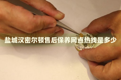 鹽城漢密爾頓售后保養(yǎng)網(wǎng)點熱線是多少
