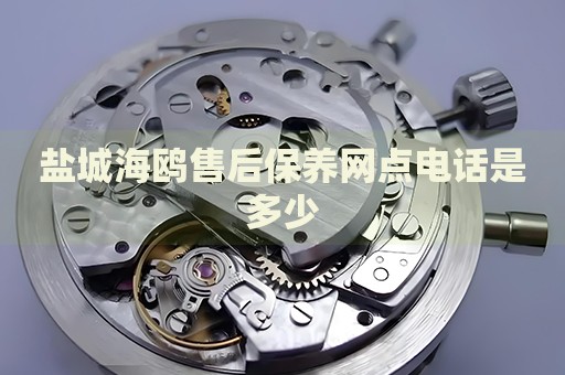 鹽城海鷗售后保養(yǎng)網(wǎng)點(diǎn)電話是多少