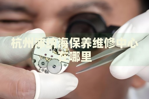 杭州沛納海保養(yǎng)維修中心在哪里