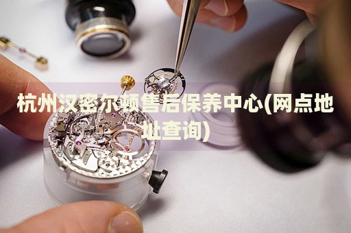 杭州漢密爾頓售后保養(yǎng)中心(網點地址查詢)