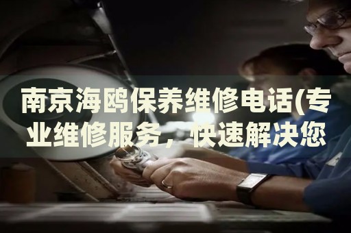 南京海鷗保養(yǎng)維修電話(專業(yè)維修服務(wù)，快速解決您的問(wèn)題)