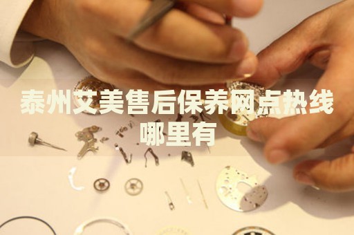 泰州艾美售后保養(yǎng)網(wǎng)點熱線哪里有