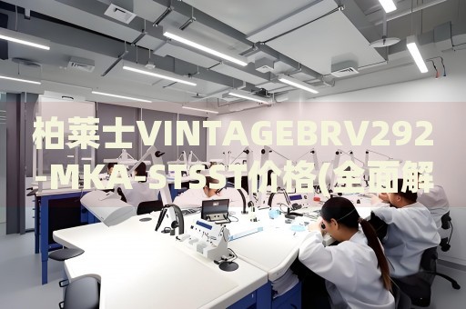 柏萊士VINTAGEBRV292-MKA-STSST價格(全面解析及市場行情)