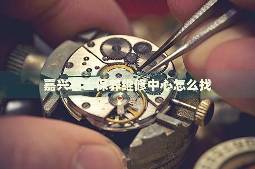 嘉興名士保養(yǎng)維修中心怎么找
