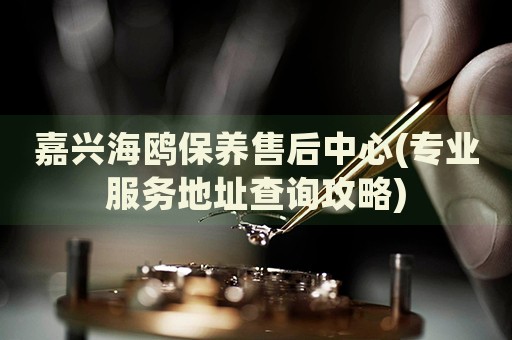 嘉興海鷗保養(yǎng)售后中心(專業(yè)服務(wù)地址查詢攻略)