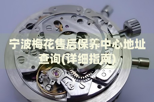 寧波梅花售后保養(yǎng)中心地址查詢(詳細(xì)指南)