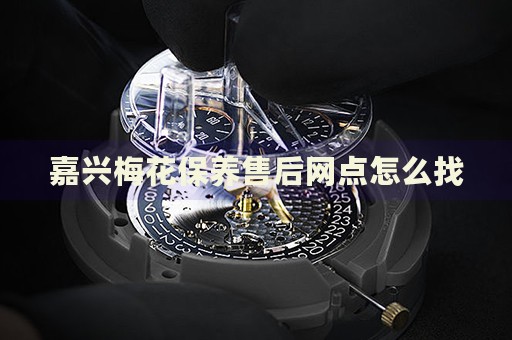 嘉興梅花保養(yǎng)售后網(wǎng)點(diǎn)怎么找